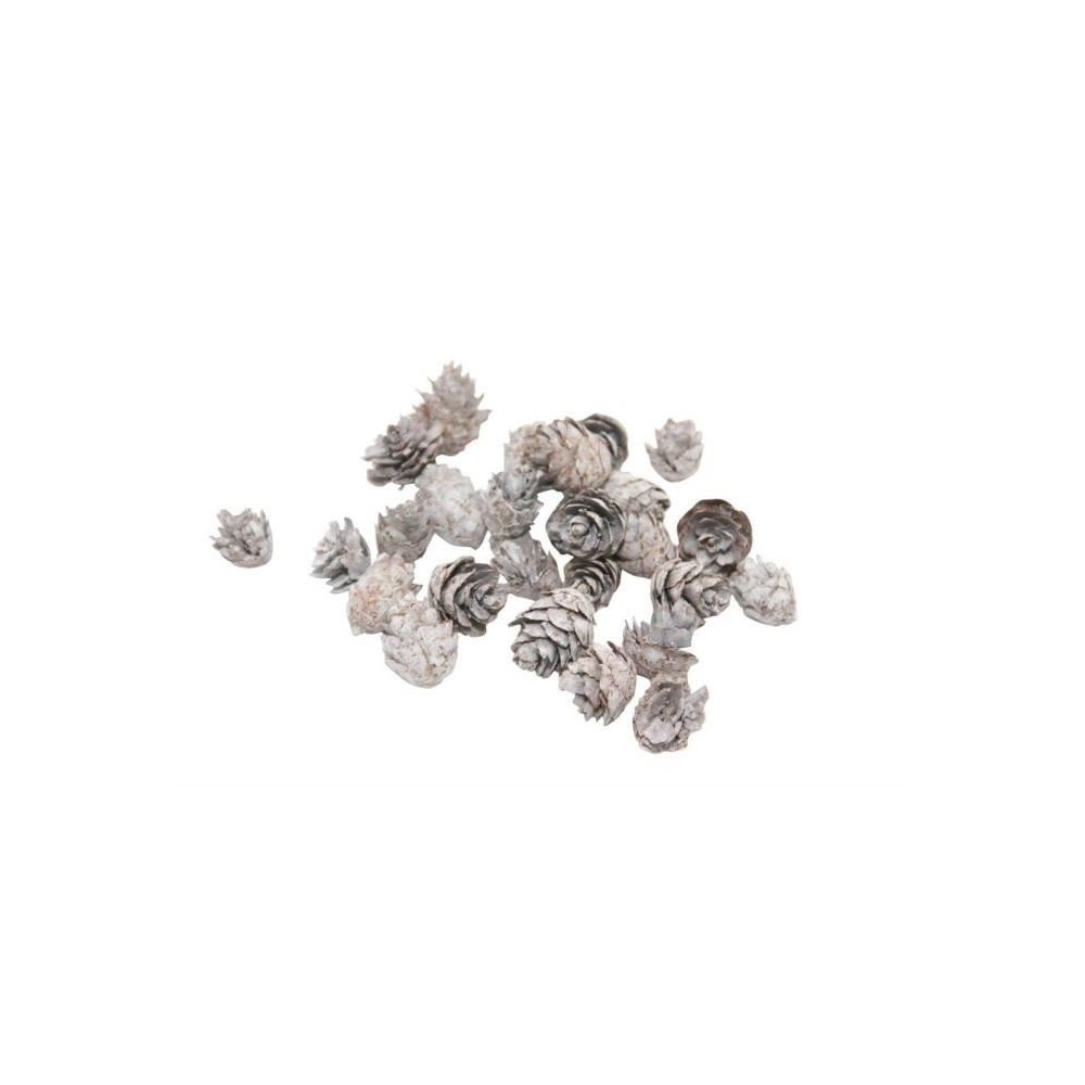 PIGNE BABY 2-3CM BIANCO GR.150